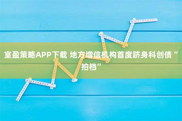 室盈策略APP下载 地方增信机构首度跻身科创债“拍档”