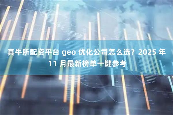 真牛所配资平台 geo 优化公司怎么选？2025 年 11 月最新榜单一键参考