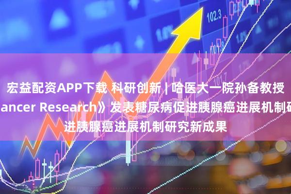 宏益配资APP下载 科研创新 | 哈医大一院孙备教授团队在《Cancer Research》发表糖尿病促进胰腺癌进展机制研究新成果